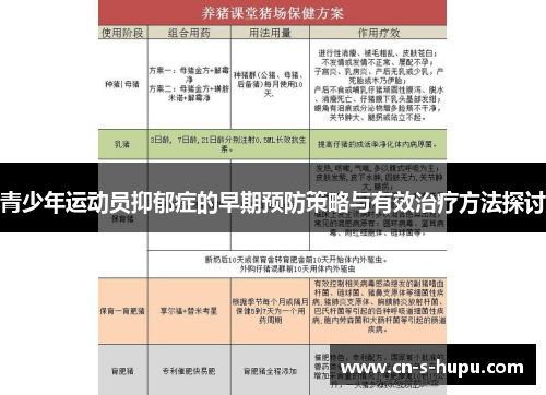 青少年运动员抑郁症的早期预防策略与有效治疗方法探讨