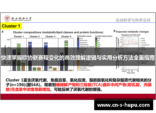 快速掌握欧协联赛程变化的高效理解逻辑与实用分析方法全面指南 快速掌握欧协联赛程变化的高效理解逻辑与实用分析方法全面指南