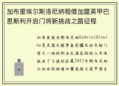 加布里埃尔斯洛尼纳租借加盟英甲巴恩斯利开启门将新挑战之路征程